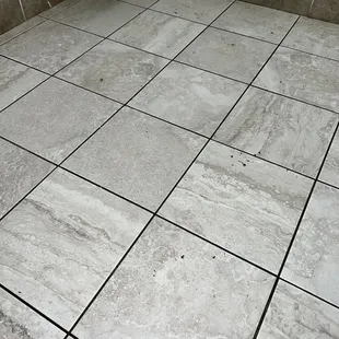 Mud and poop on the floor. Eww.