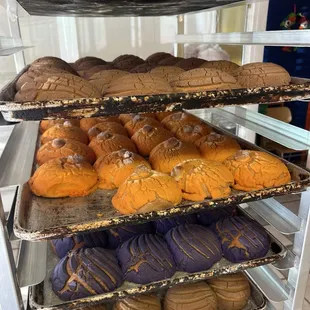 Fresh baked conchas 10/19/24