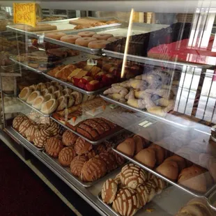 donuts, interior