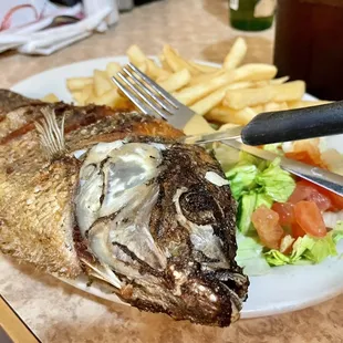 Fish dorado