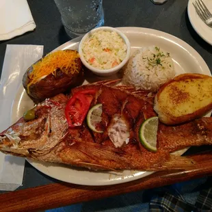 Red Snapper