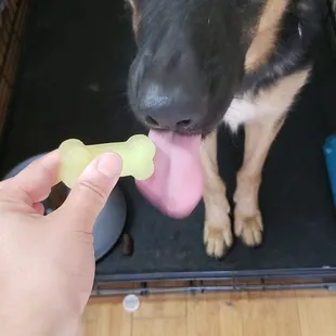 Woofie gets a treat