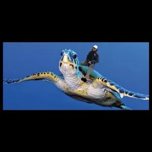 a man riding a turtle