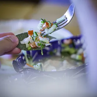 Our ceviche over anyone!