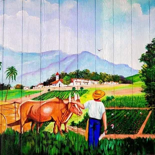 outside, sushi and sashimi