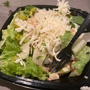 My chop salad was basically a huge mound of cheese and lettuce.