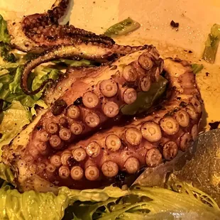 Grilled Octopus