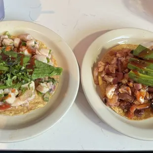 Fish tostada and octopus tostada