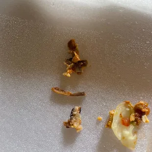 Bones from my chicken enchilada