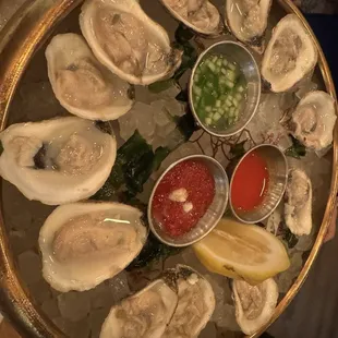 Oysters