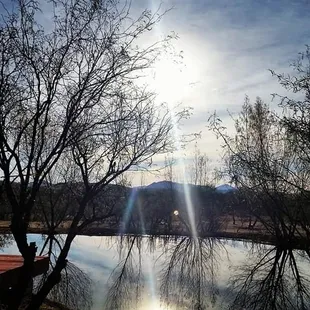 The pond at La Siesta. Beyond relaxing &amp; serene! I already miss Ronald &amp; Donald, the two ducks that live here &amp; fight over the bullfrogs.
