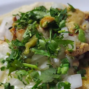 Chicken taco very well seasoned on a single tortilla