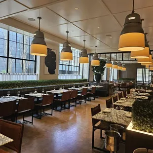 ramen and noodles, interior