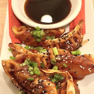 Chicken Dumplings