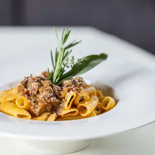 pasta, pasta dish, food