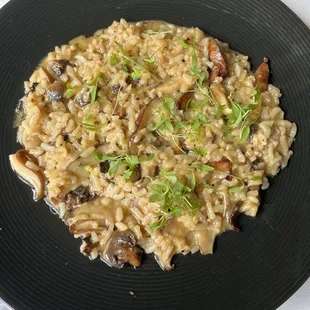 Mushroom Risotto