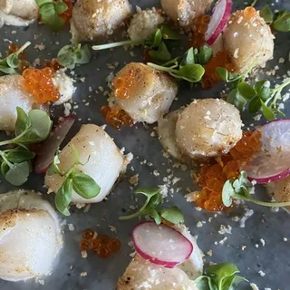 Day Boat Scallops