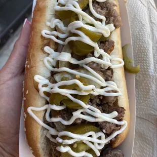 11/19/23 (sun): Asada dog