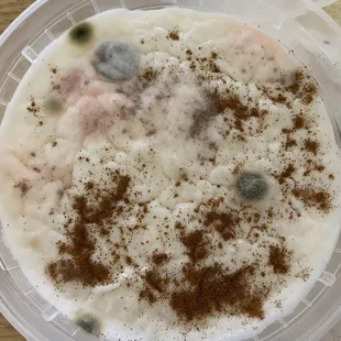 Arroz con leche, along with mold &amp; bacteria growing on it