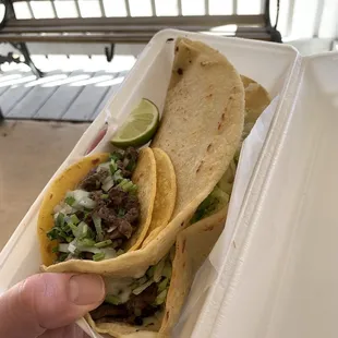 Asada Quesadilla