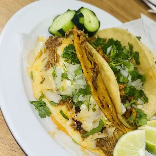 Tacos De Queso Birria