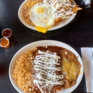 Chicken Mole Enchiladas