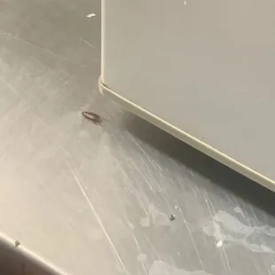 a close up of a counter top