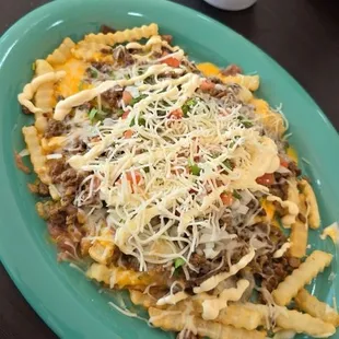 Carne Asada fries