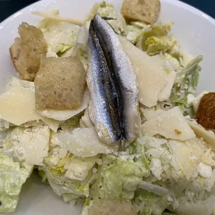 Caesar Salad