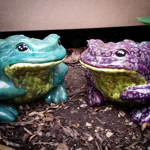 I painted the frog on the right, my mom did the one on the left!
