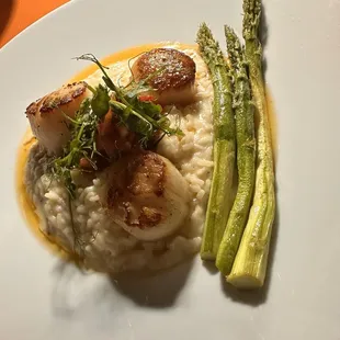 Scallops