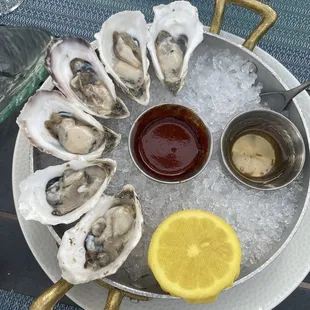 Oysters