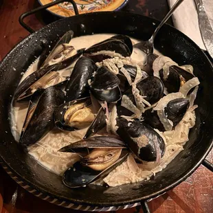 mussels, shellfish, oysters, food, oysters and mussels