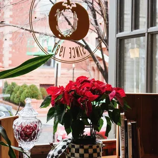 Its beginning to look a lot like the holidays at La Tomate!
December dining in a cozy & festive atmosphere.