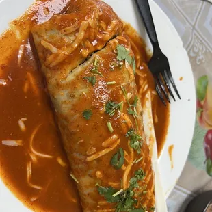 Canrne Asada burrito