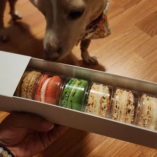 Macaron 6 Pack