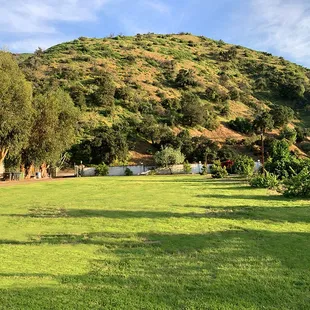 Sunset views of the Mountain!