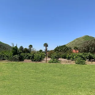 LOOK AT ALL THE SPACE!