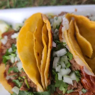 Birria Tacos