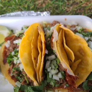 Birria Tacos