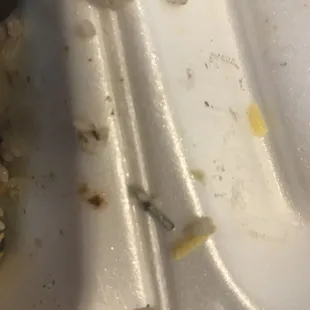 Staple was in my order...