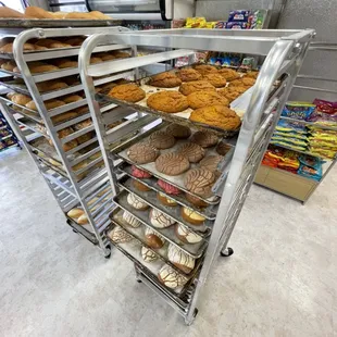 Concha recién sacada del horno! 
Bread fresh out the oven!