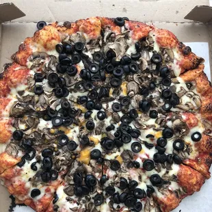 Mushroom &amp; olive pizza