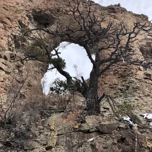 La Ventana Natural Arch