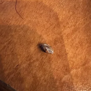 A Rock in my food