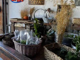 Bodega Loya