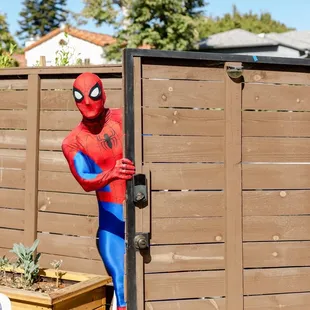 Spider-Man making an entrance!