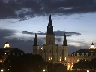 Unique Nola