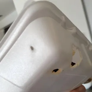 Completely melted through styrofoam. Melted styrofoam releases a carcinogen that can get into the food!