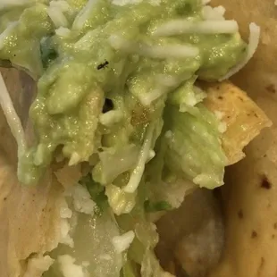 Black ant crawling on top of half eaten taco.